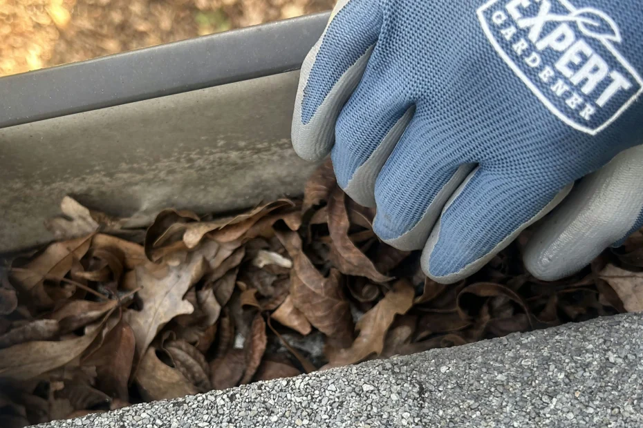 Gutter Cleaning Spencer